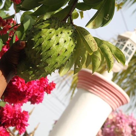 Sweetsop Jamaica Villa And Tours Teluk Montego Bagian luar foto